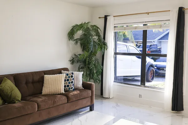 a living room with furniture and a potted plant