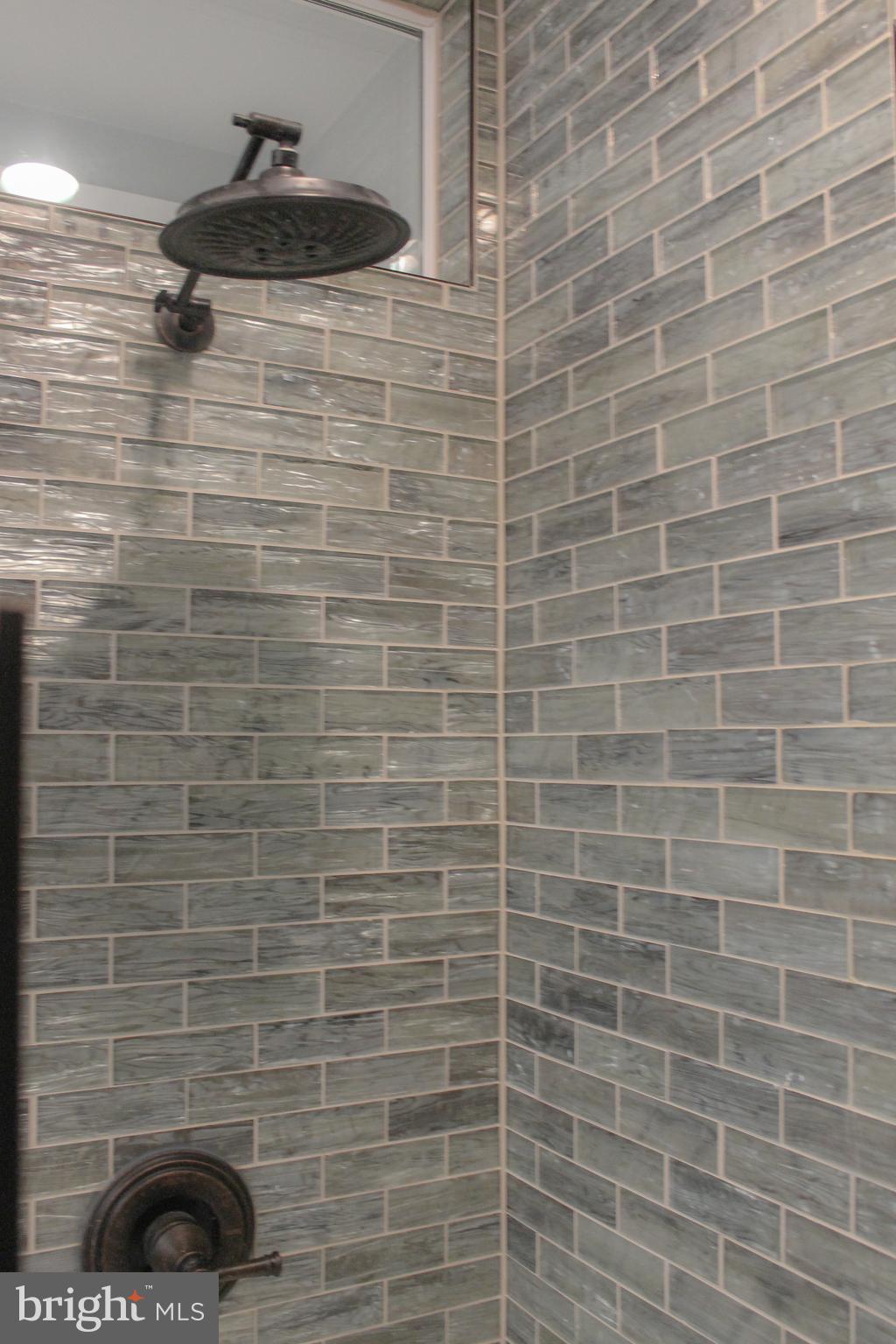 12169 Ridge Road King George, VA 22485 - Photo 29 of 37 Master Bathroom- Tub/Shower Fixtures
