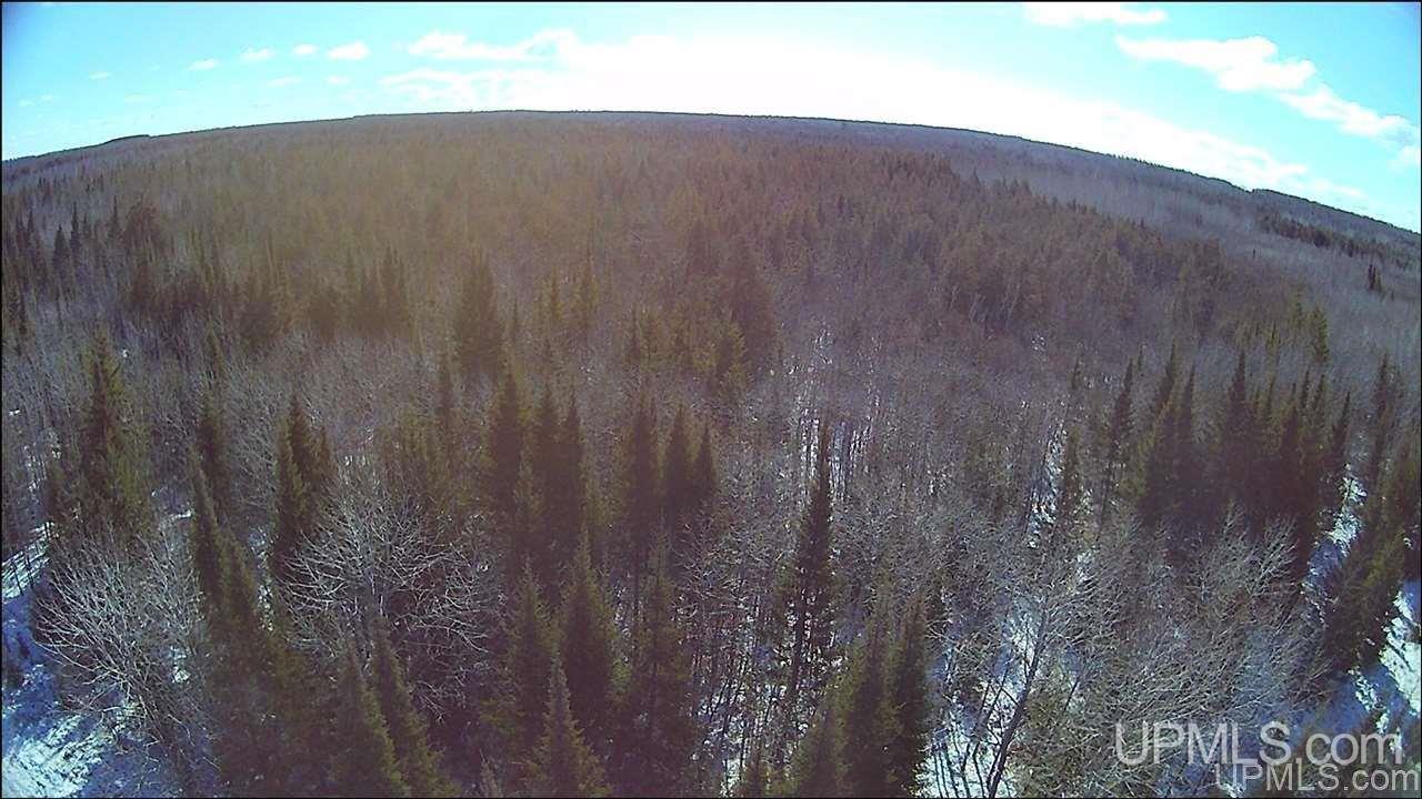 8972 Co Road Rapid River, MI 49878 - Photo 8 of 46