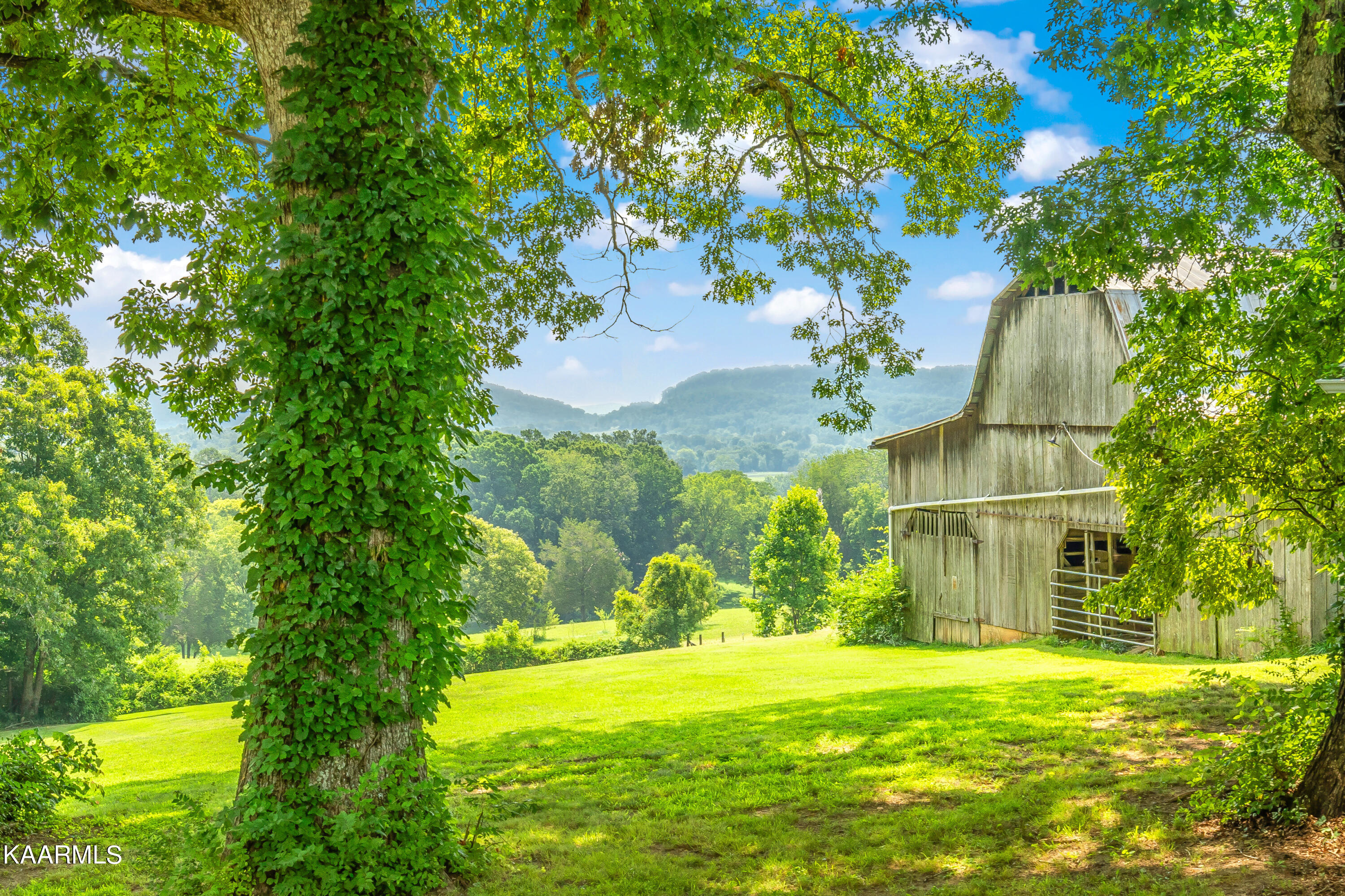 7404 Ridgeview Road Corryton, TN 37721 - Photo 46 of 60 AMAZING VIEW