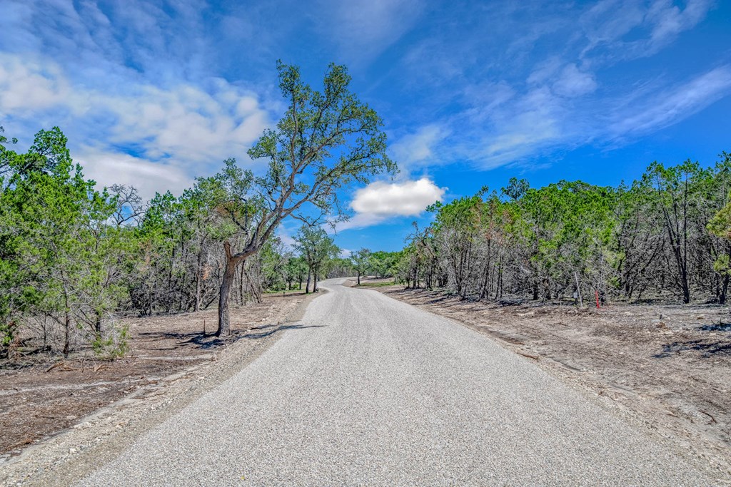 15 Bonita View Ranch Road Harper, TX 78631 - Photo 4 of 6