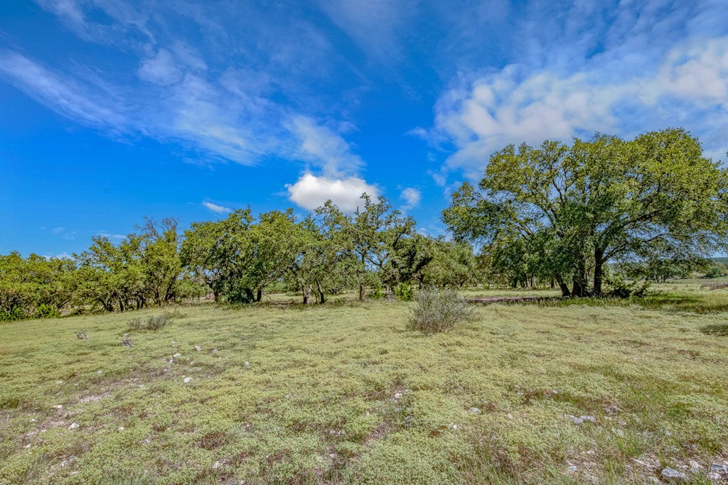 15 Bonita View Ranch Road Harper, TX 78631 - Photo 6 of 6