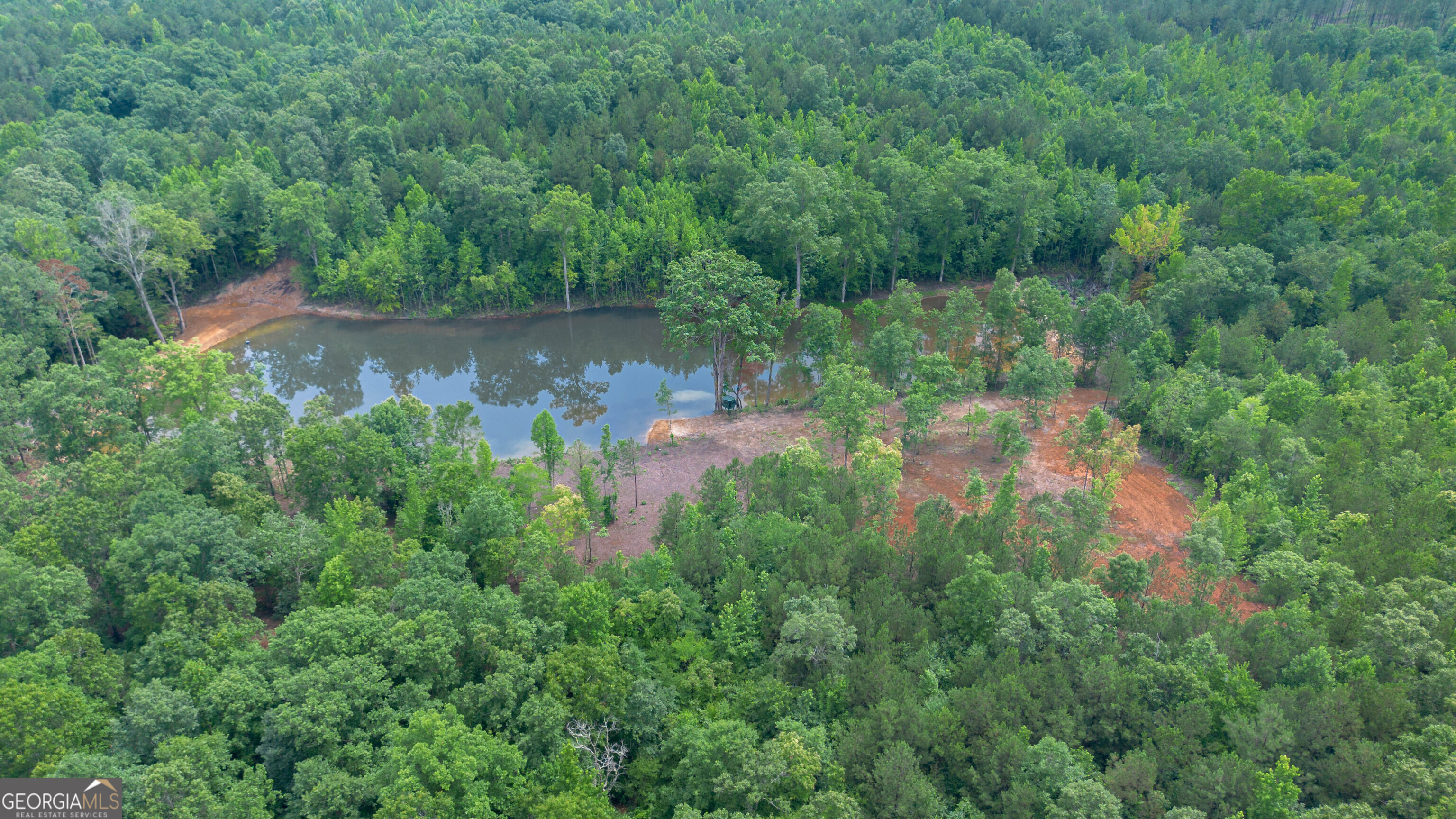 0 Vineyard Fruithurst, AL 36262 - Photo 7 of 21