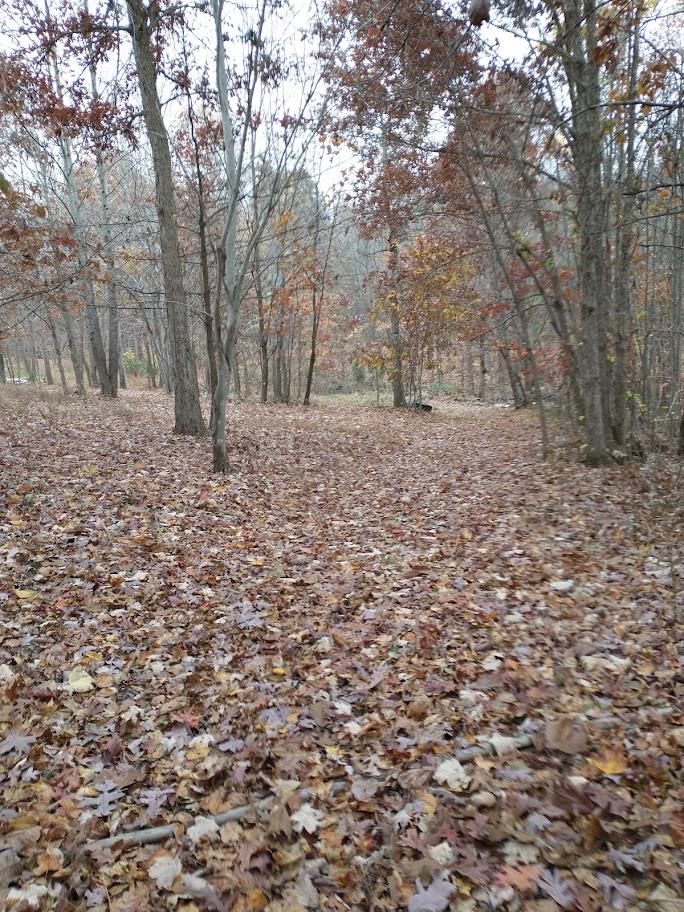 759 Dodds Road Otway, OH 45657 - Photo 36 of 41 Wooded Acres