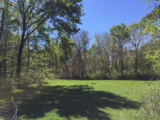 669 Carter Loop Road Woodville, MS 39669 - Photo 1 of 1 Main View