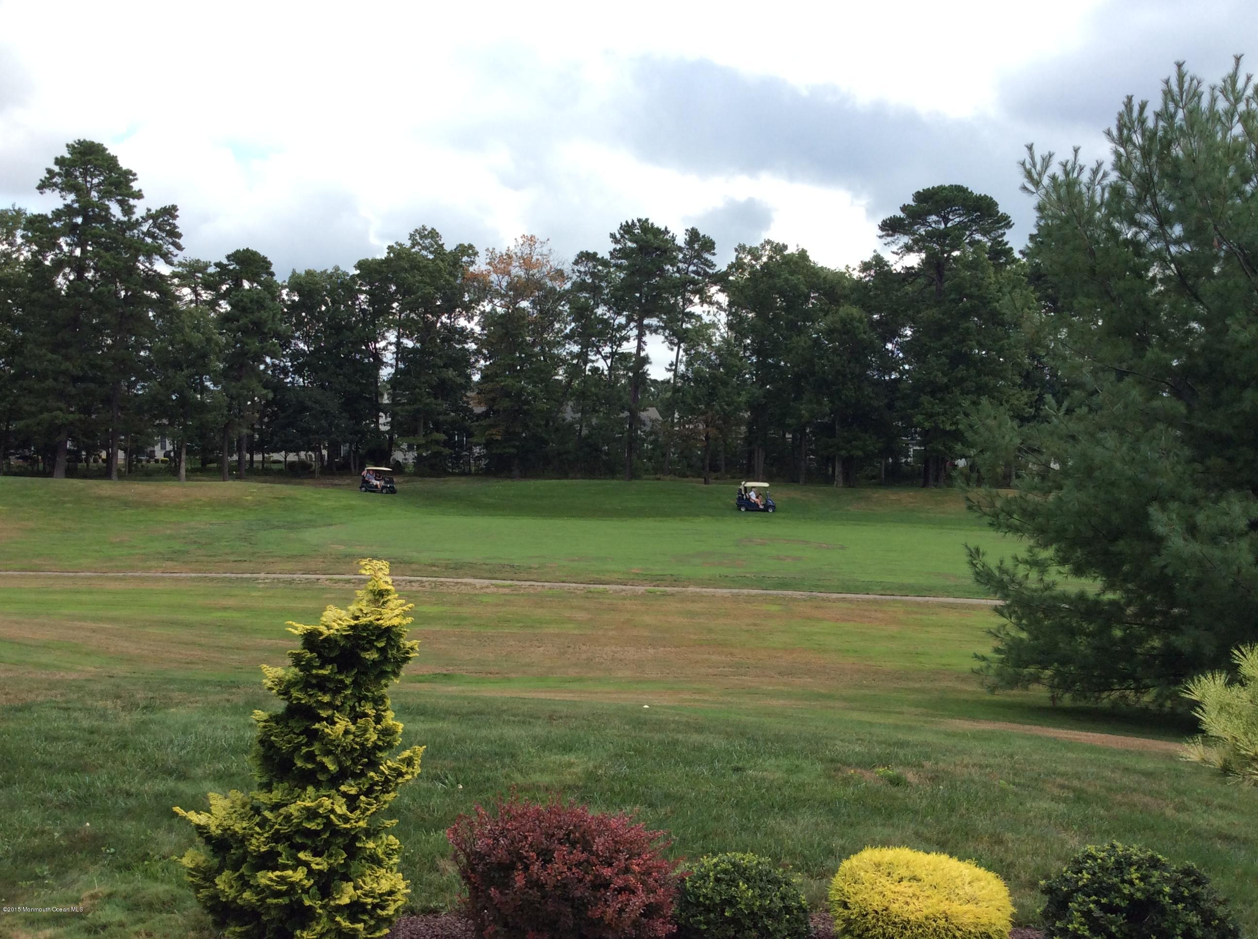 21 Barton Creek Road Jackson, NJ 08527 - Photo 3 of 24 2nd hole