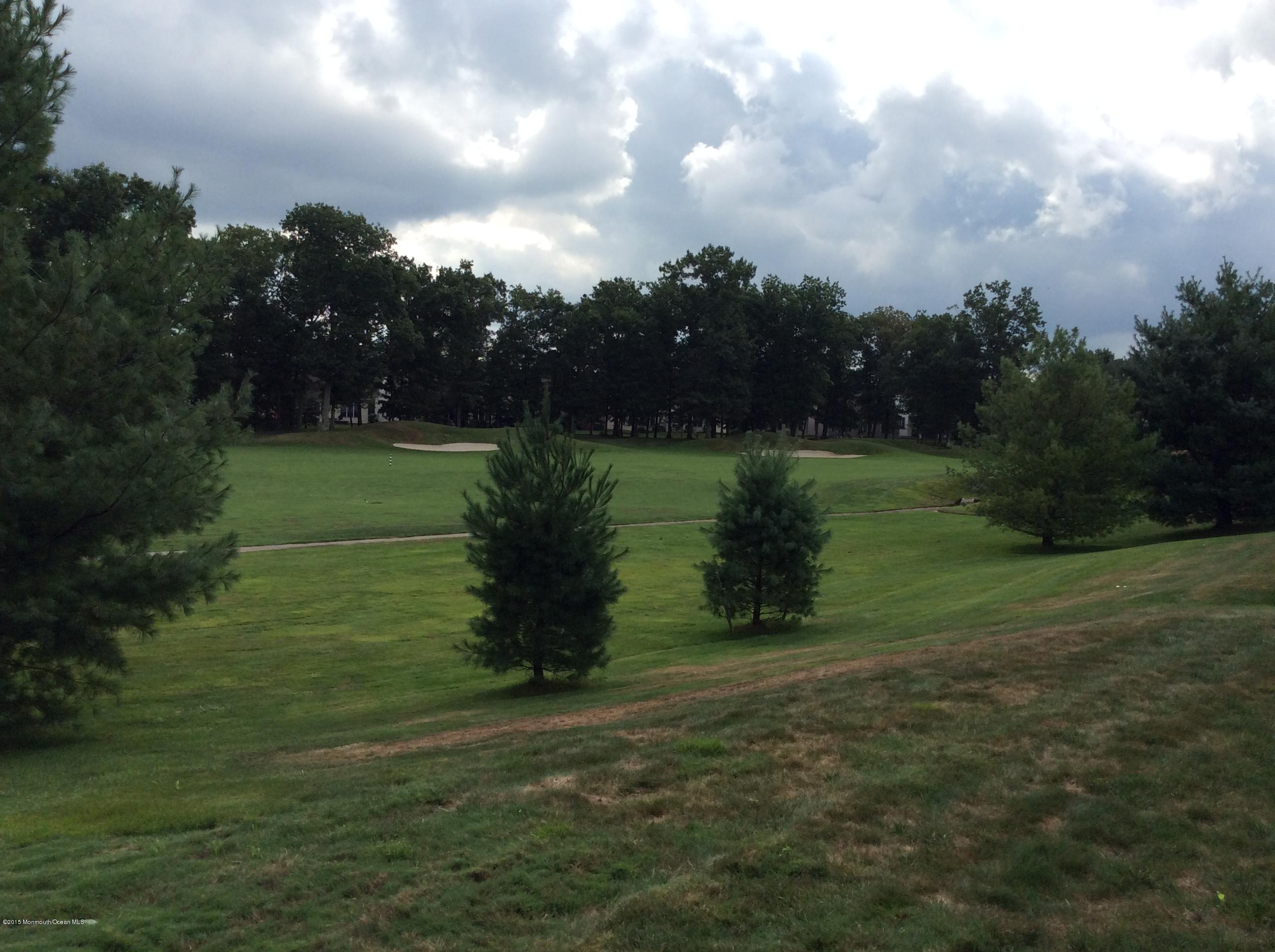 21 Barton Creek Road Jackson, NJ 08527 - Photo 4 of 24 2nd hole picuture 2