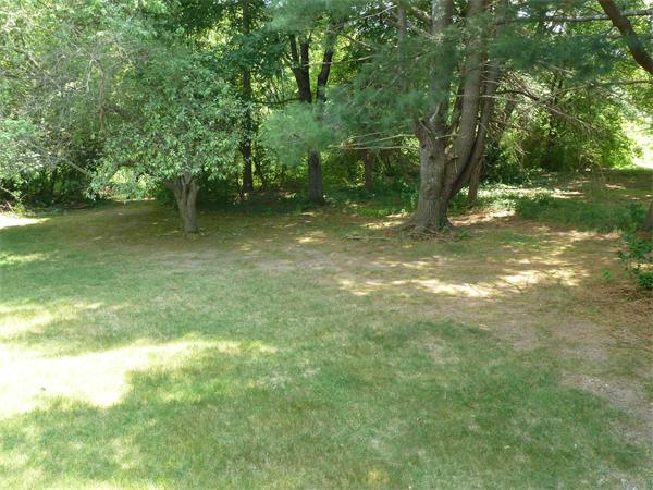 20 Fenwick Road Chelmsford, MA 01824 - Photo 15 of 15 a view of a trees in a yard