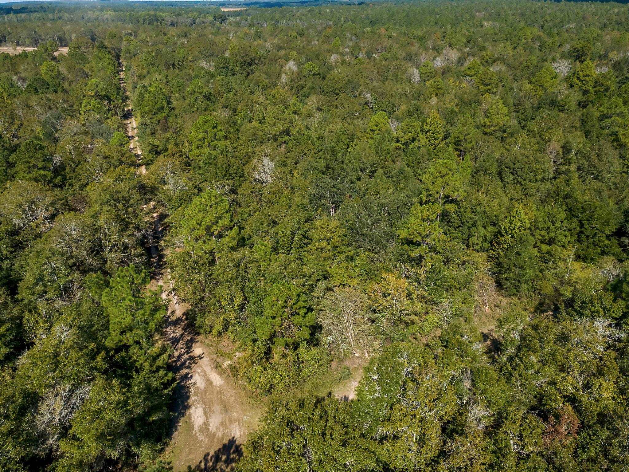 0 Glory Road Quincy, FL 32352 - Photo 6 of 12 Gallery Image 6
