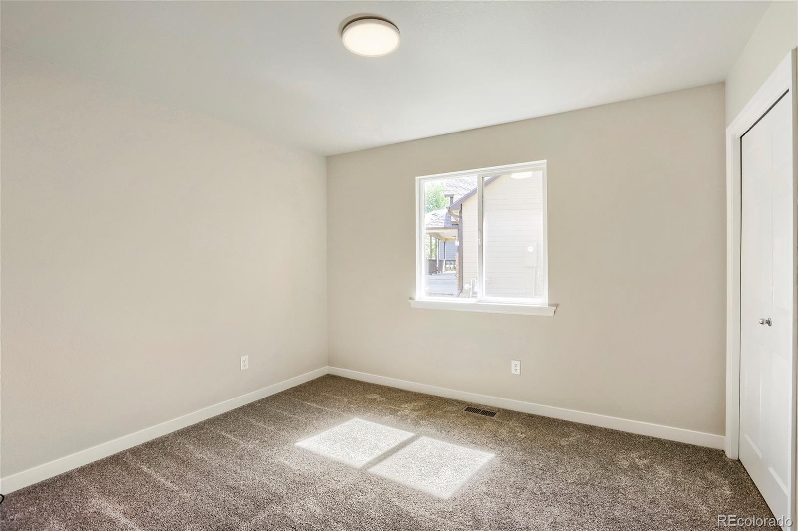 654 Foxtail Way Windsor, CO 80550 - Photo 18 of 30
