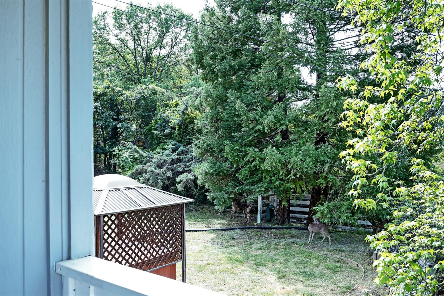 2510 Rising Hill Road Placerville, CA 95667 - Photo 35 of 61