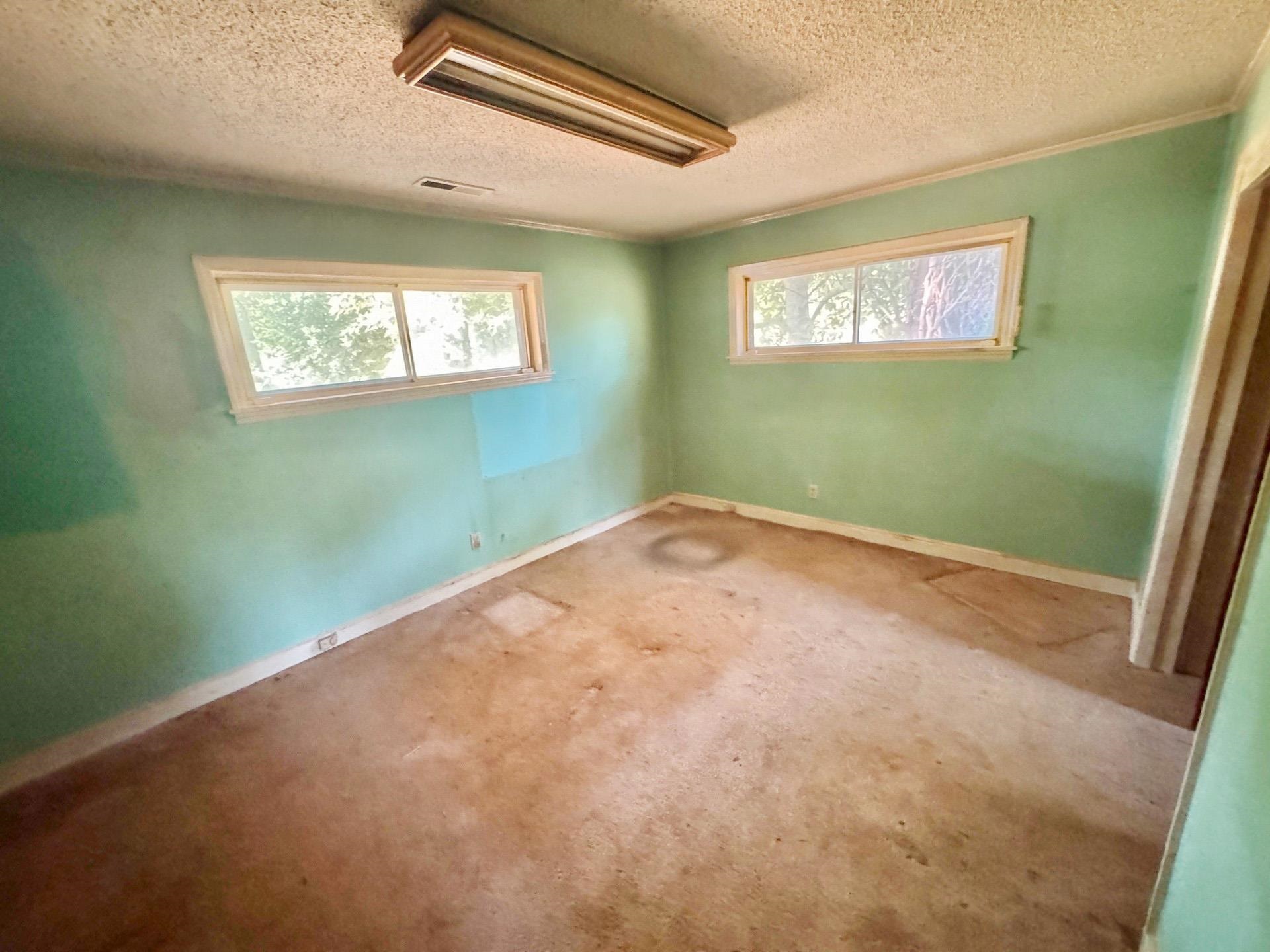6014 Raleigh Lagrange Road Memphis, TN 38134 - Photo 12 of 19 Spare room with healthy amount of natural light, carpet, and a textured ceiling