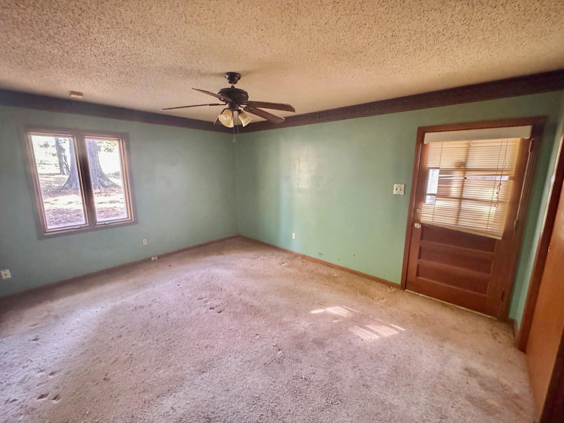 6014 Raleigh Lagrange Road Memphis, TN 38134 - Photo 18 of 19 Unfurnished room with healthy amount of natural light, a textured ceiling, carpet flooring, and ceiling fan