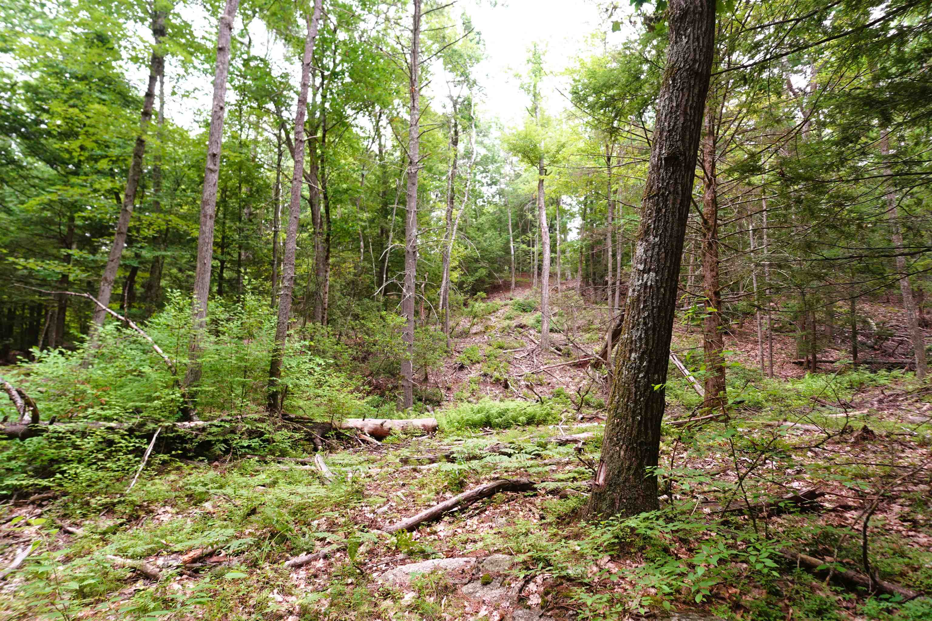 0 Burt Hill Road Winchester, NH 03470 - Photo 25 of 32