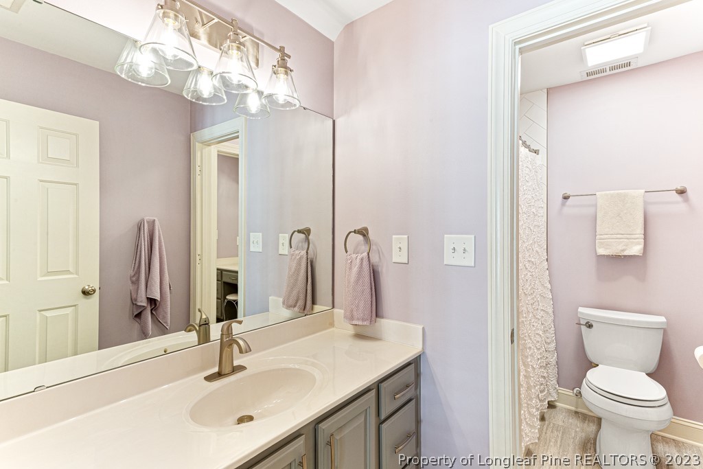 645 Little Bridge Road Fayetteville, NC 28311 - Photo 35 of 49 a bathroom with a sink a toilet and a mirror