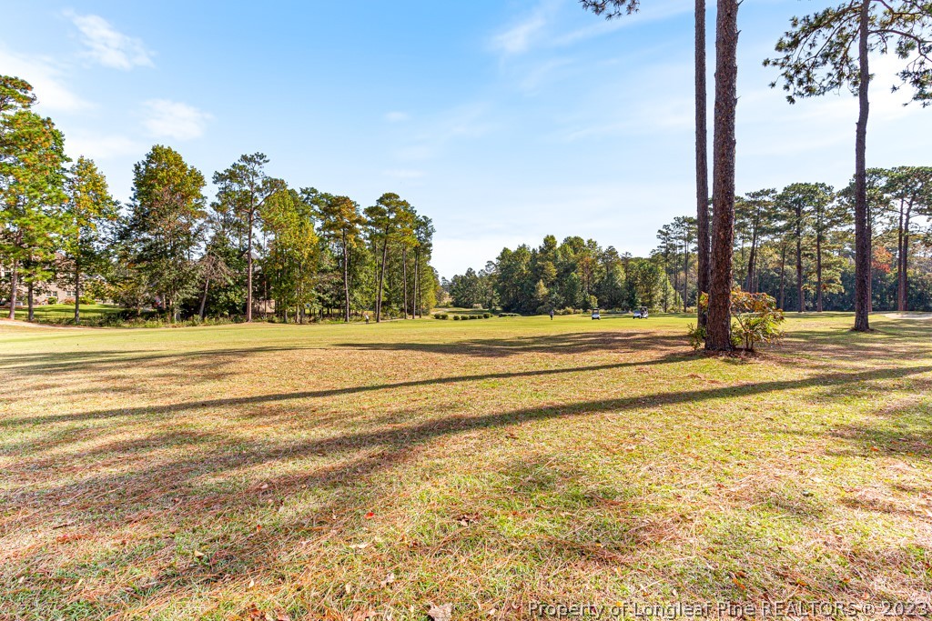 645 Little Bridge Road Fayetteville, NC 28311 - Photo 48 of 49 a view of a yard in front of a house
