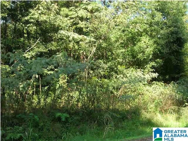 $12,000 | 228 Gober Drive, Birmingham, AL 35214