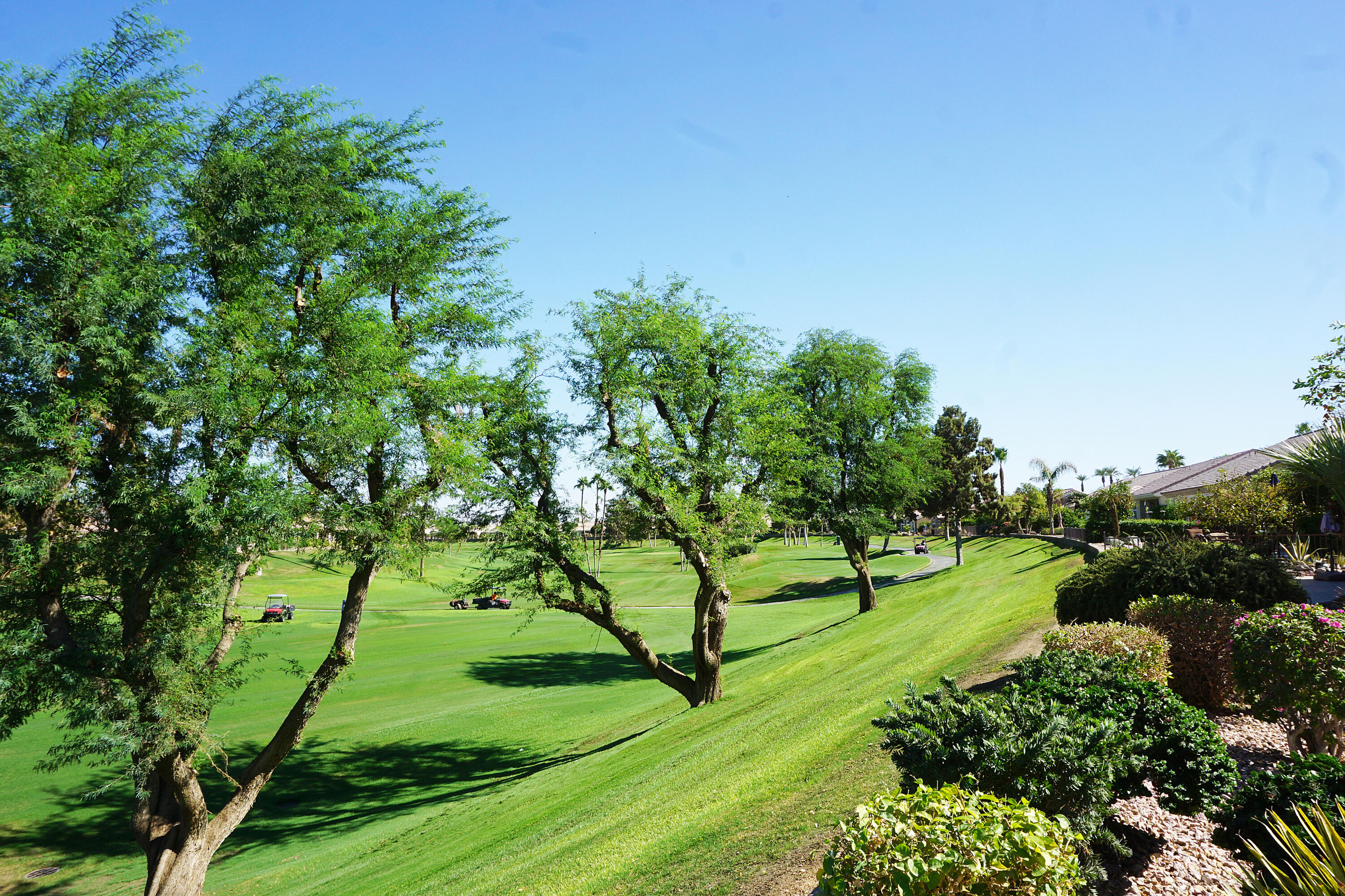39543 Manorgate Road Palm Desert, CA 92211 - Photo 23 of 24 DSC05602