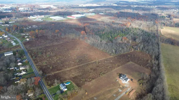 a view of a lush green forest with trees