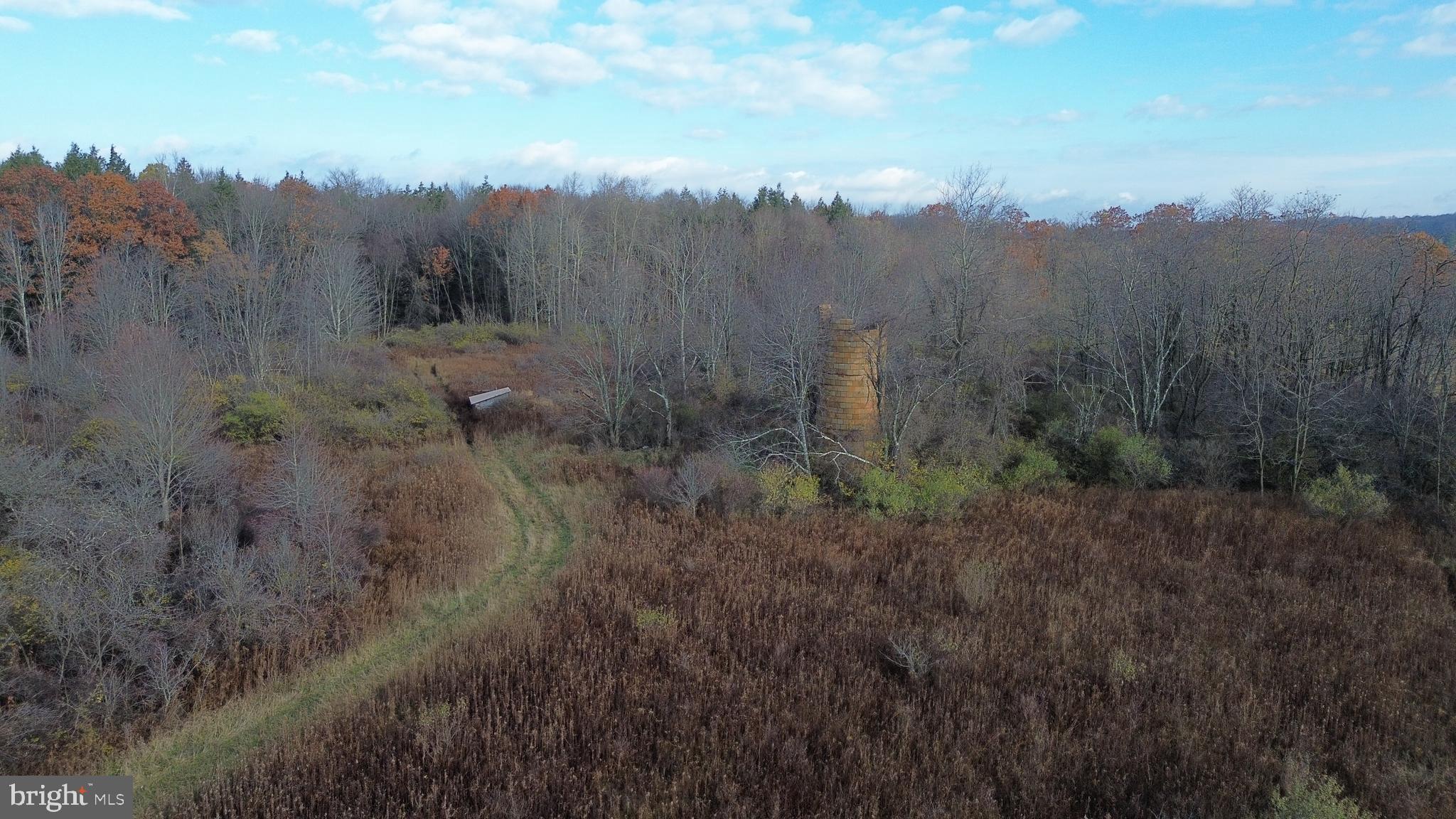 4045 Elton Road Johnstown, PA 15904 - Photo 7 of 8 a view of a lush green forest with trees