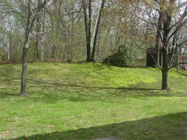 185 Roy Street Springfield, MA 01104 - Photo 4 of 8 a view of a yard with an trees