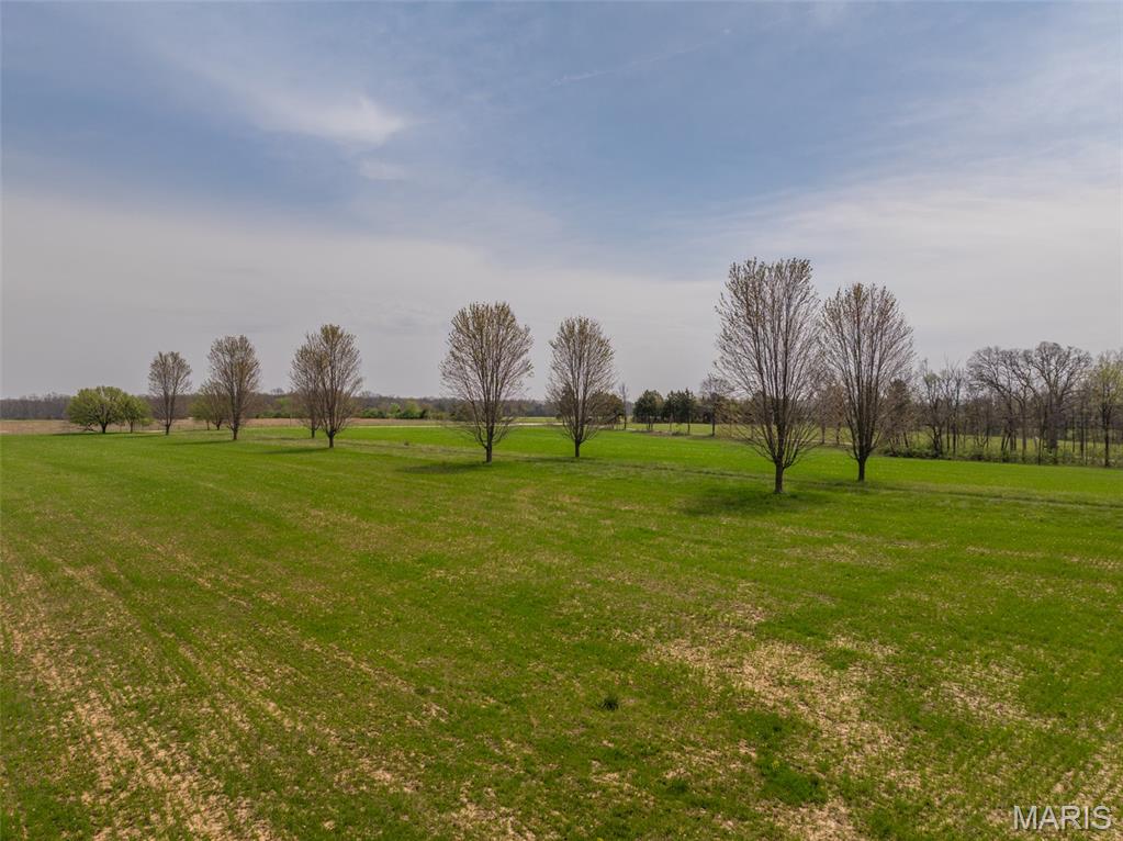 35225 Pin Oak Church Road Jonesburg, MO 63351 - Photo 17 of 18