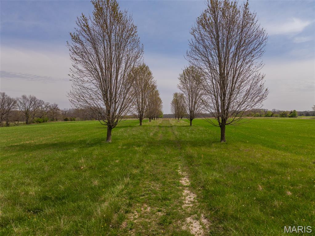 35225 Pin Oak Church Road Jonesburg, MO 63351 - Photo 4 of 18