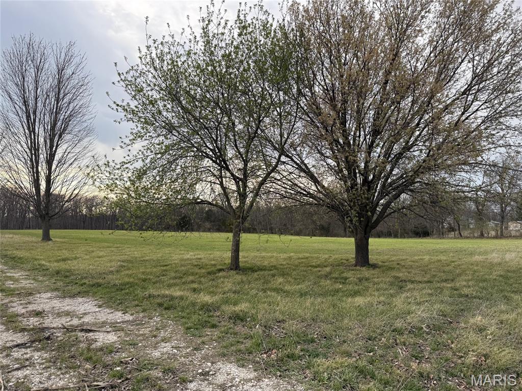 35225 Pin Oak Church Road Jonesburg, MO 63351 - Photo 9 of 18