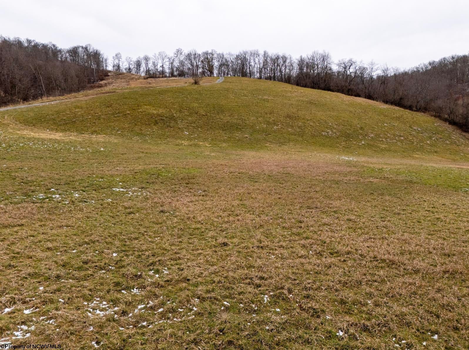 Lot 1 Miracle Run Road Fairview, WV 26570 - Photo 8 of 39 Gallery Image 8
