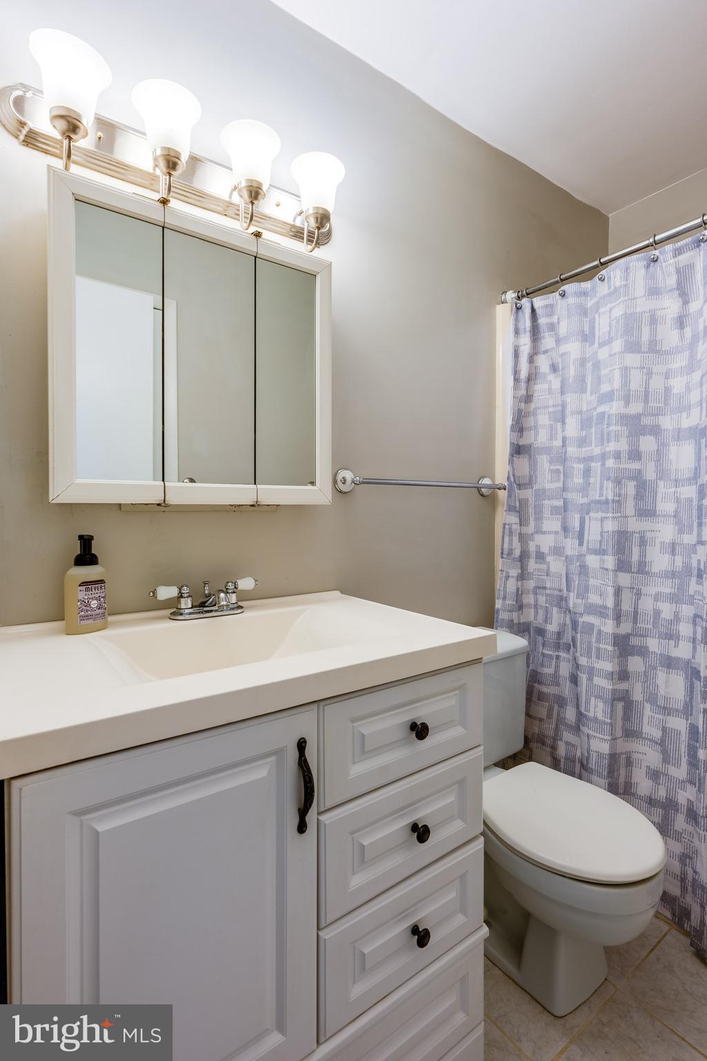 166 Pulte Road Lancaster, PA 17601 - Photo 31 of 41 a bathroom with a sink a toilet and mirror