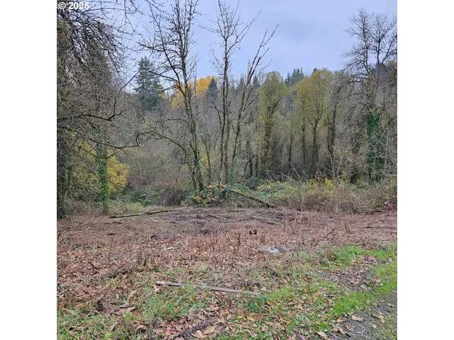 a view of a yard with trees in the background