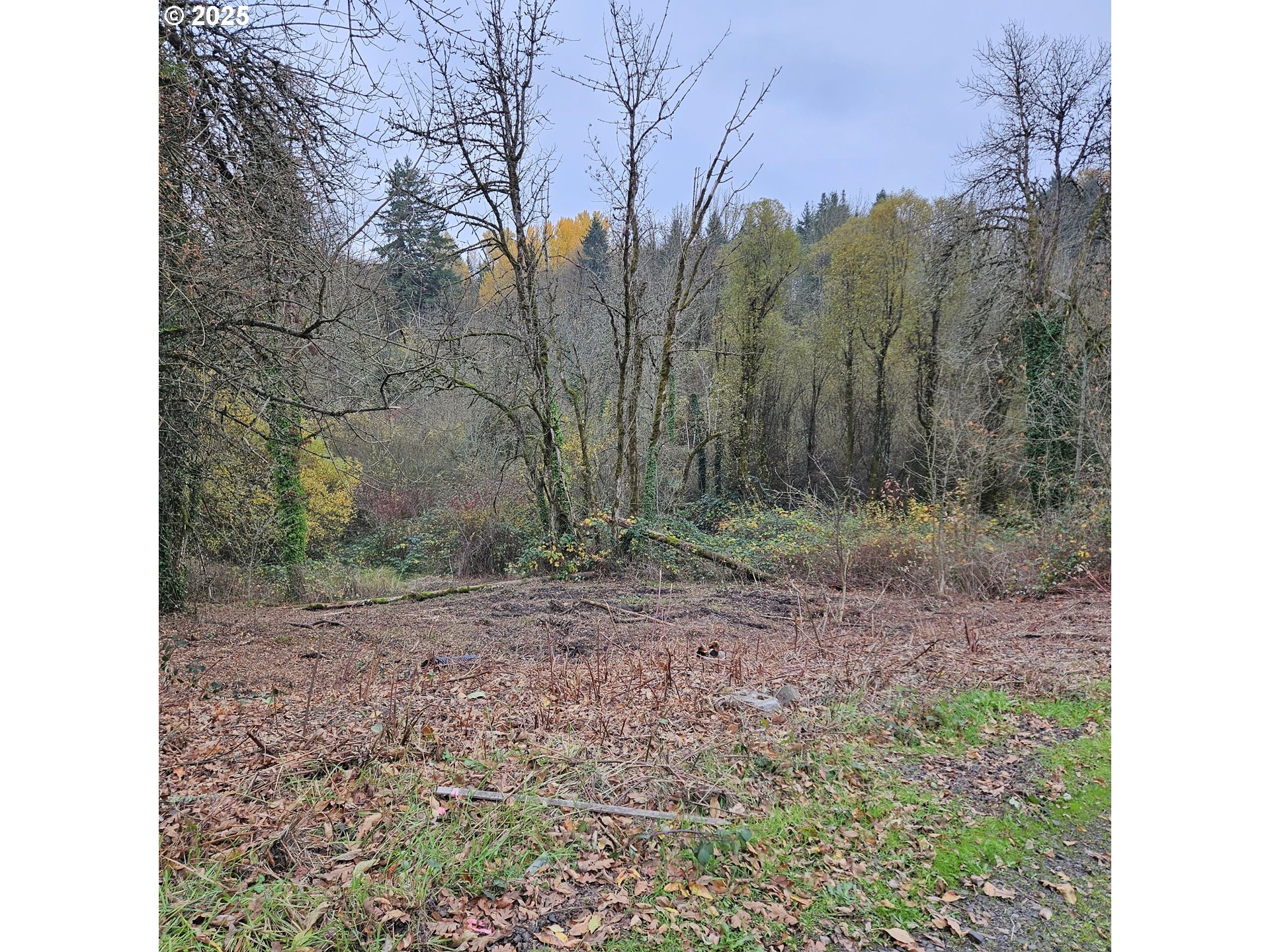 706 Elizabeth Court Dayton, OR 97114 - Photo 2 of 3 a view of a yard with trees in the background