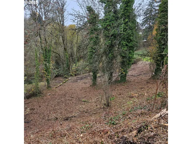 a view of a yard with a tree