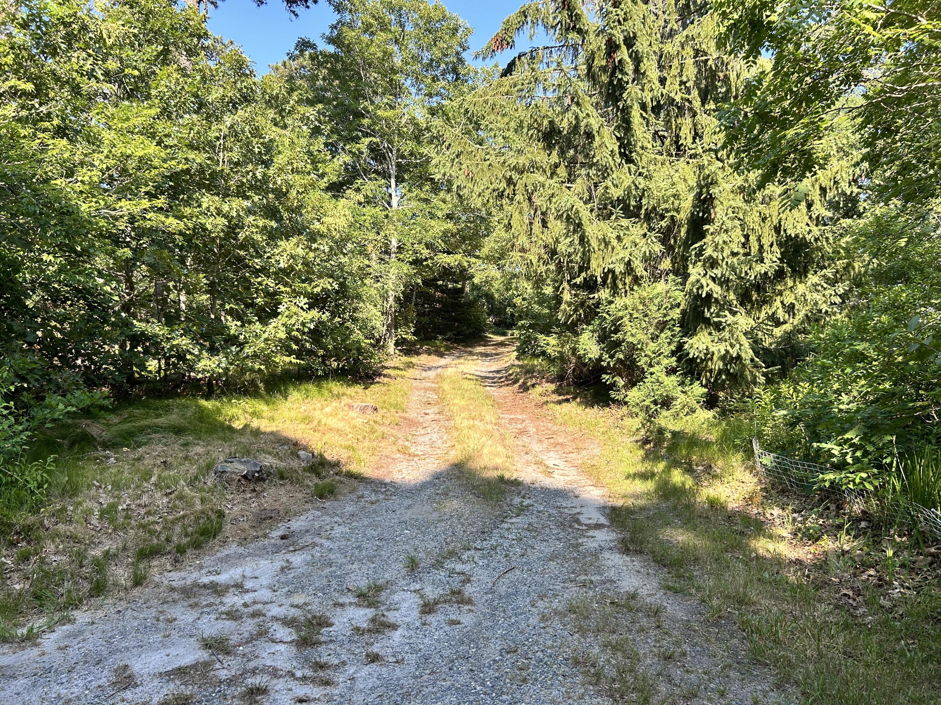 199 Telegraph Road Dennis Port, MA 02639 - Photo 6 of 7 privacyroadintele