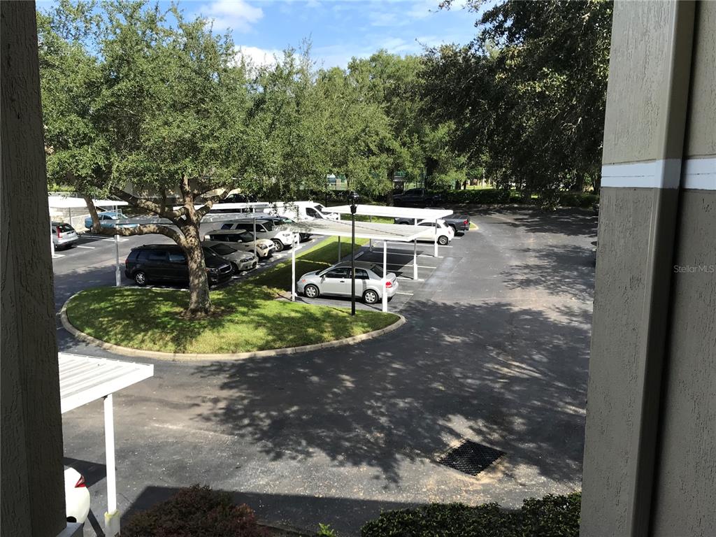 588 Brantley Terrace Way, Unit 303 Altamonte Springs, FL 32714 - Photo 17 of 24 a view of a park with large trees