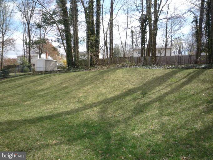 Back yard