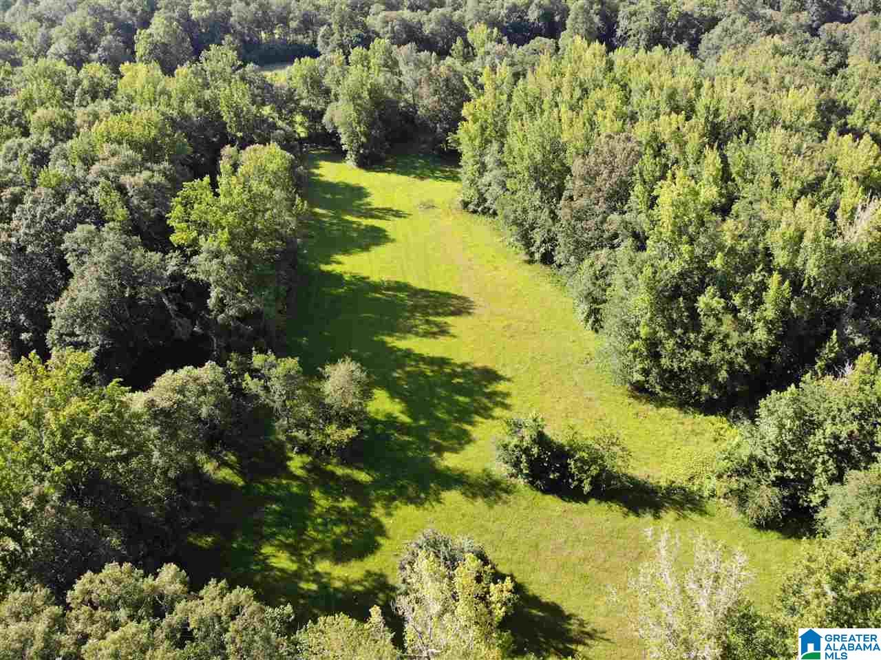 0 Antler Loop Rockford, AL 35136 - Photo 3 of 12