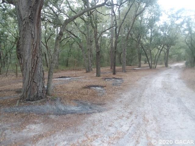 117 Serena Circle Melrose, FL 32666 - Photo 2 of 26