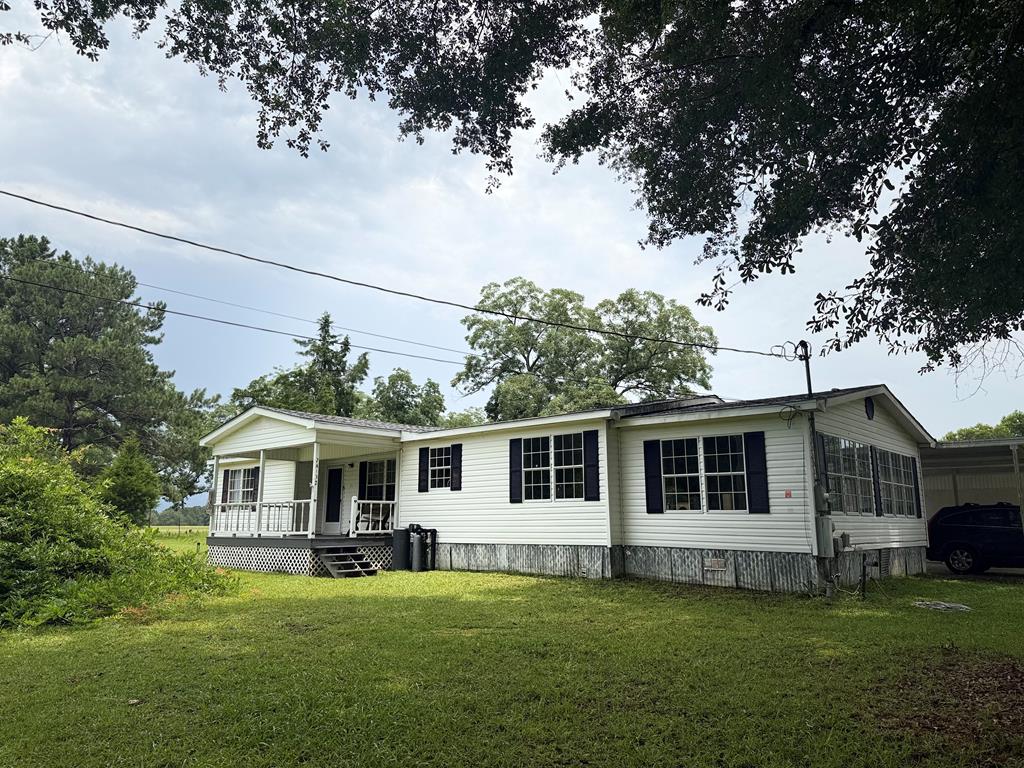 Main View