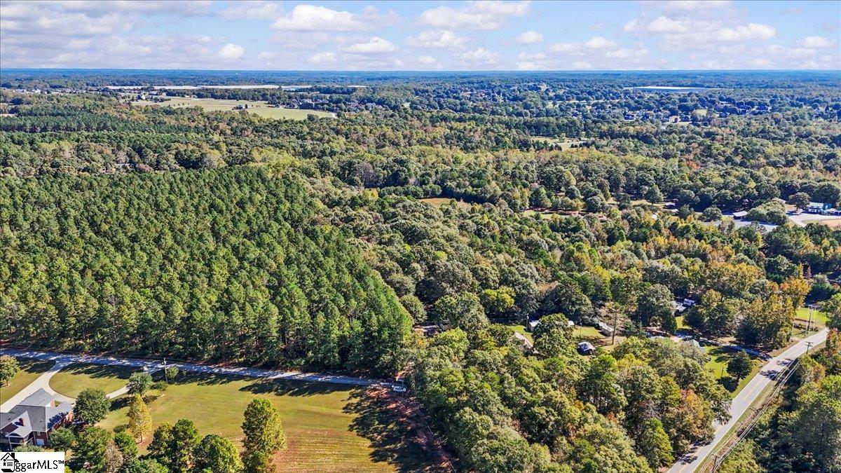 551 Rock Ridge Drive Greer, SC 29651 - Photo 37 of 48