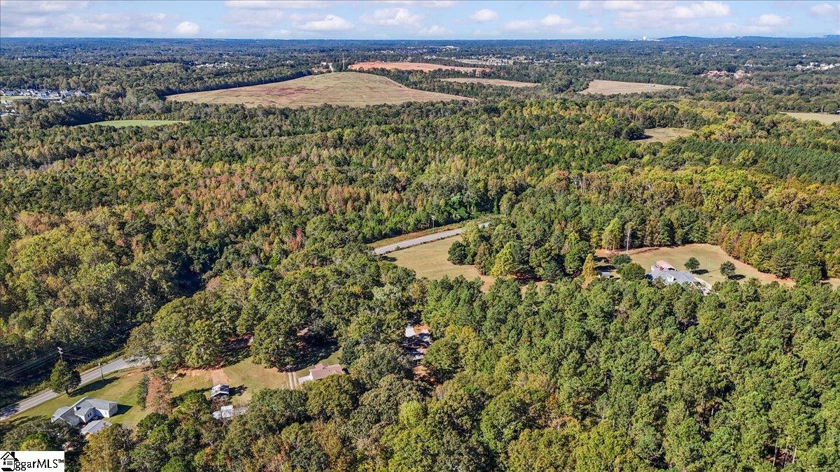 551 Rock Ridge Drive Greer, SC 29651 - Photo 39 of 48