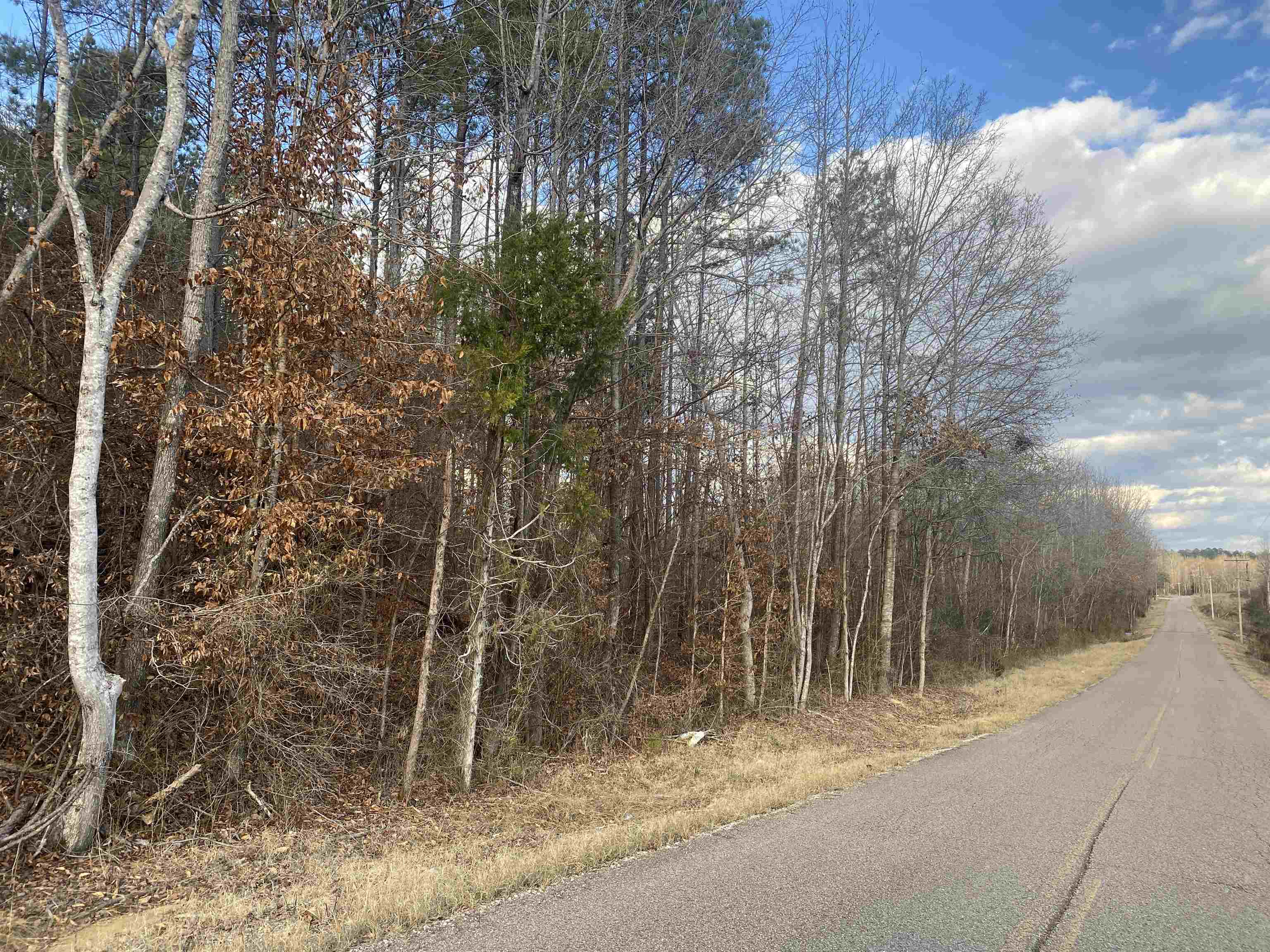 5 Hughey Talley Road Pocahontas, TN 38061 - Photo 3 of 9