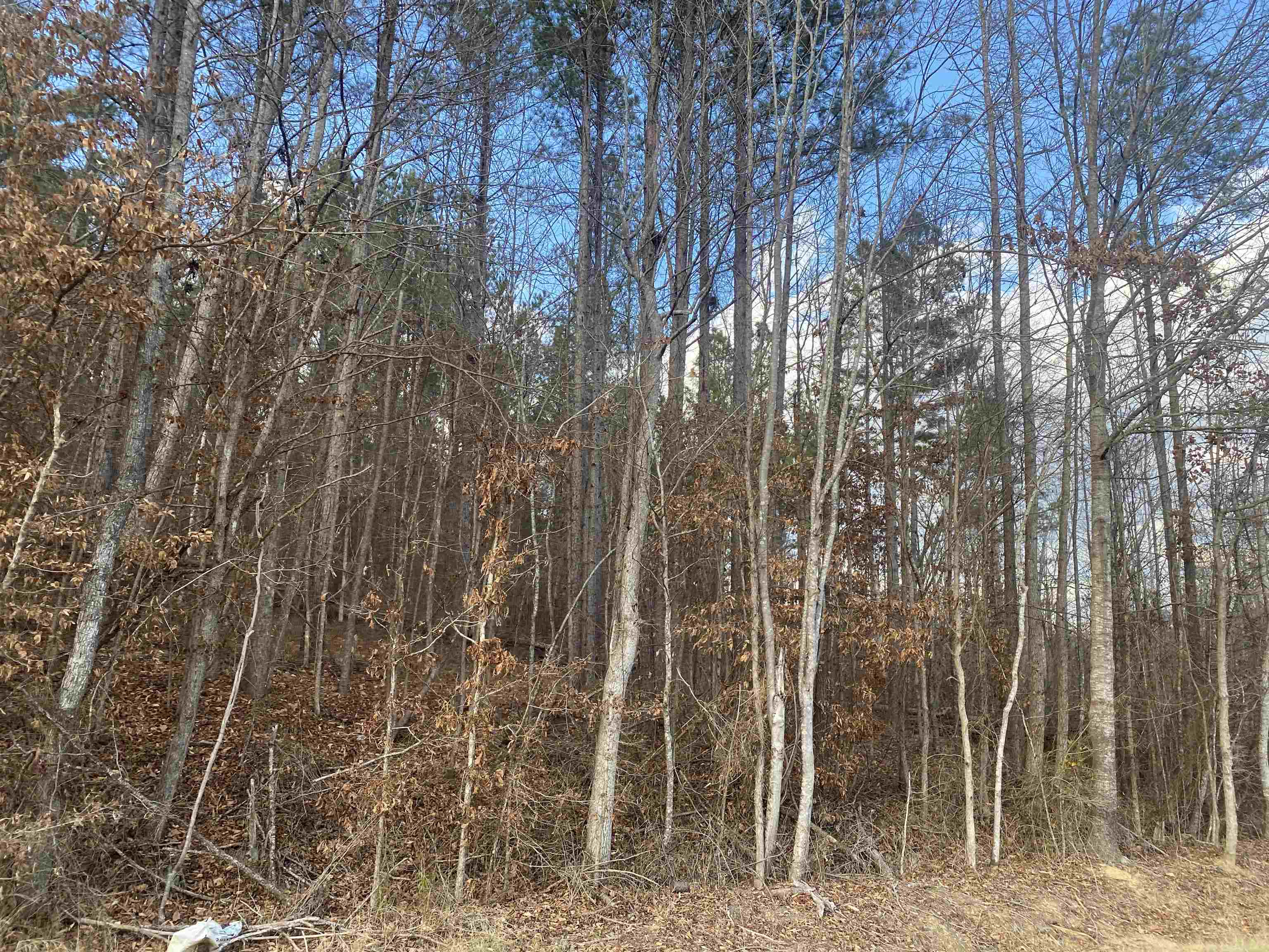 5 Hughey Talley Road Pocahontas, TN 38061 - Photo 4 of 9