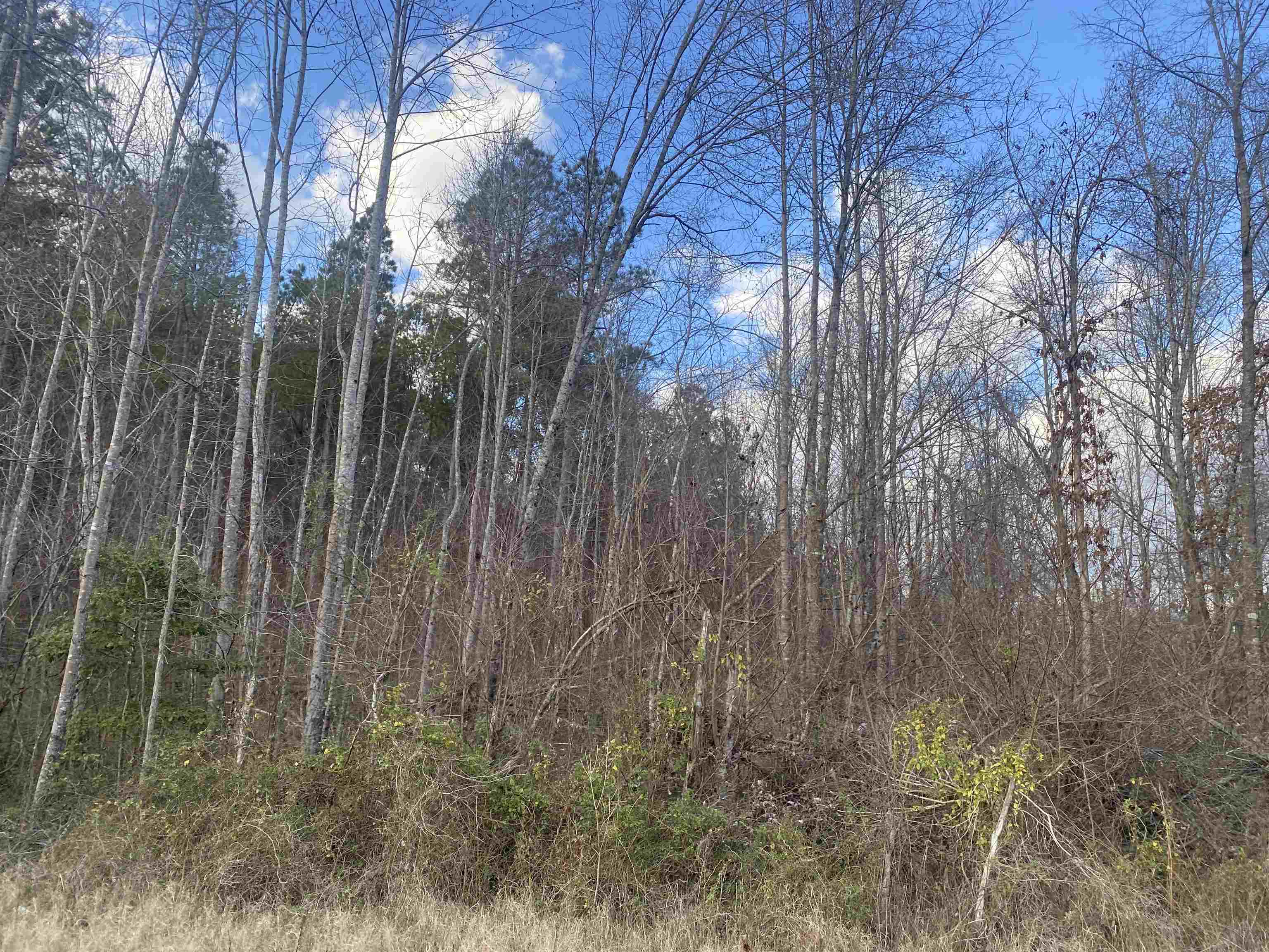 5 Hughey Talley Road Pocahontas, TN 38061 - Photo 5 of 9