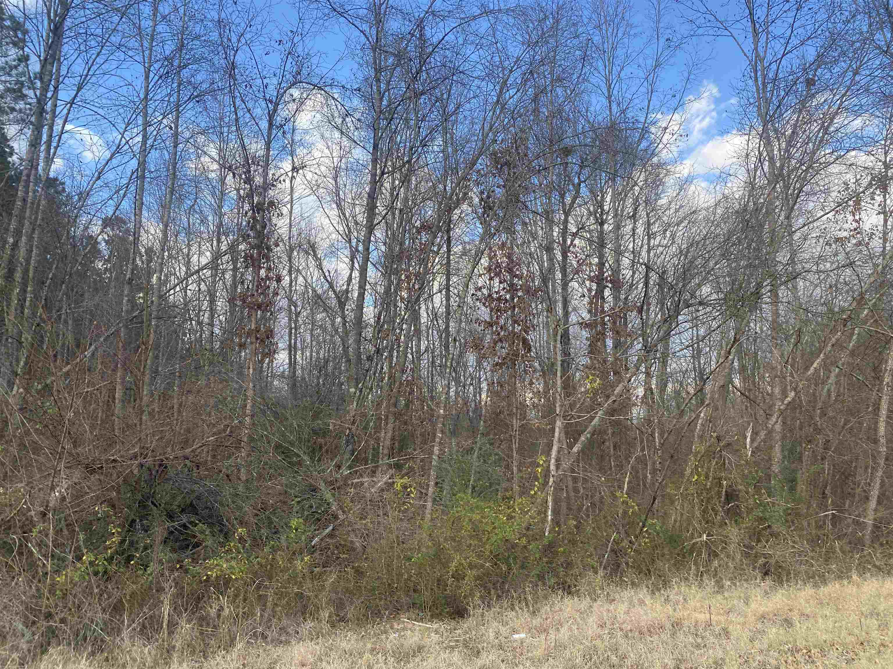 5 Hughey Talley Road Pocahontas, TN 38061 - Photo 6 of 9