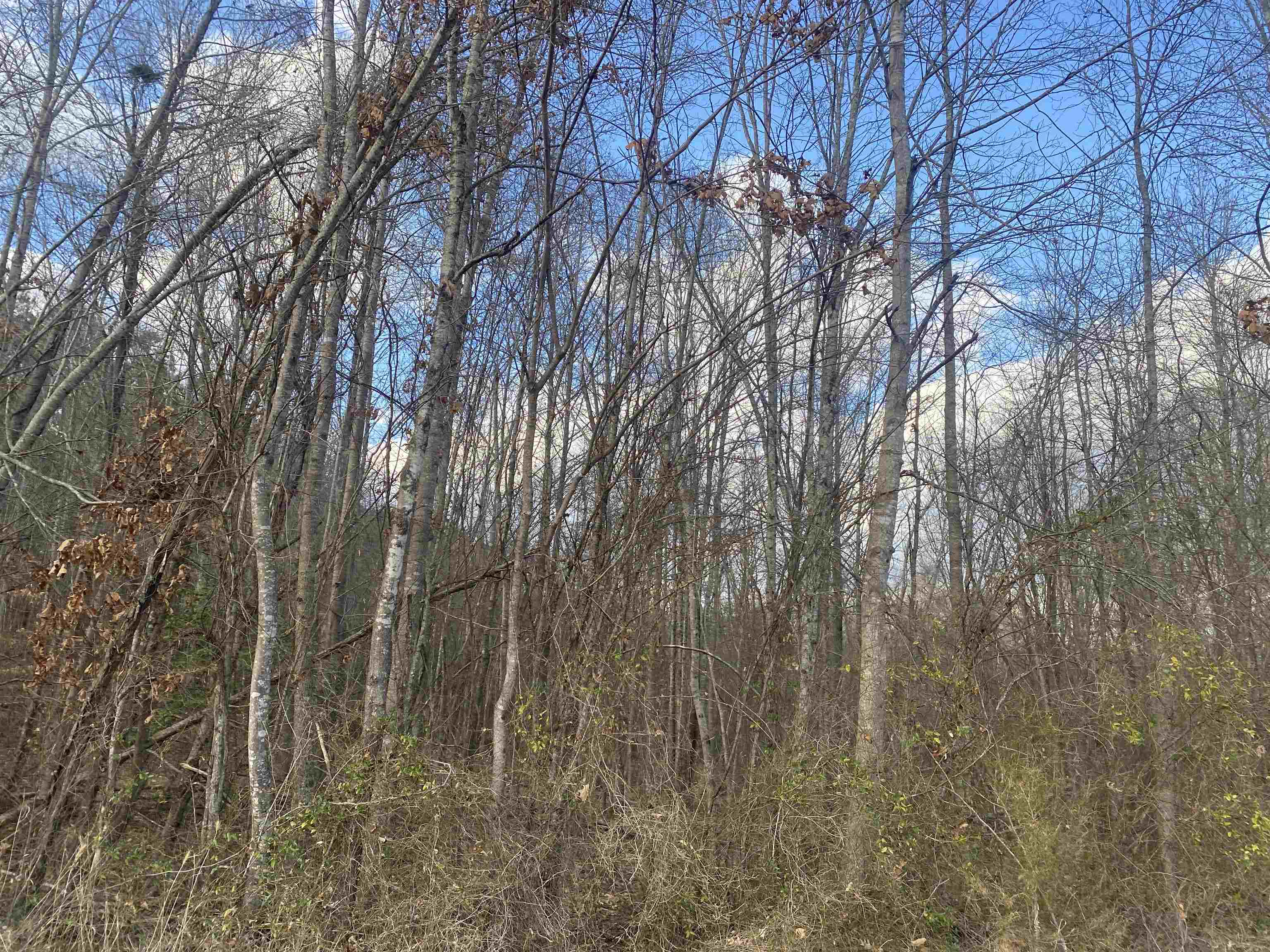 5 Hughey Talley Road Pocahontas, TN 38061 - Photo 7 of 9