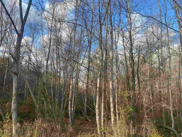 $79,900 | 5 Hughey Talley Road, Pocahontas, TN 38061