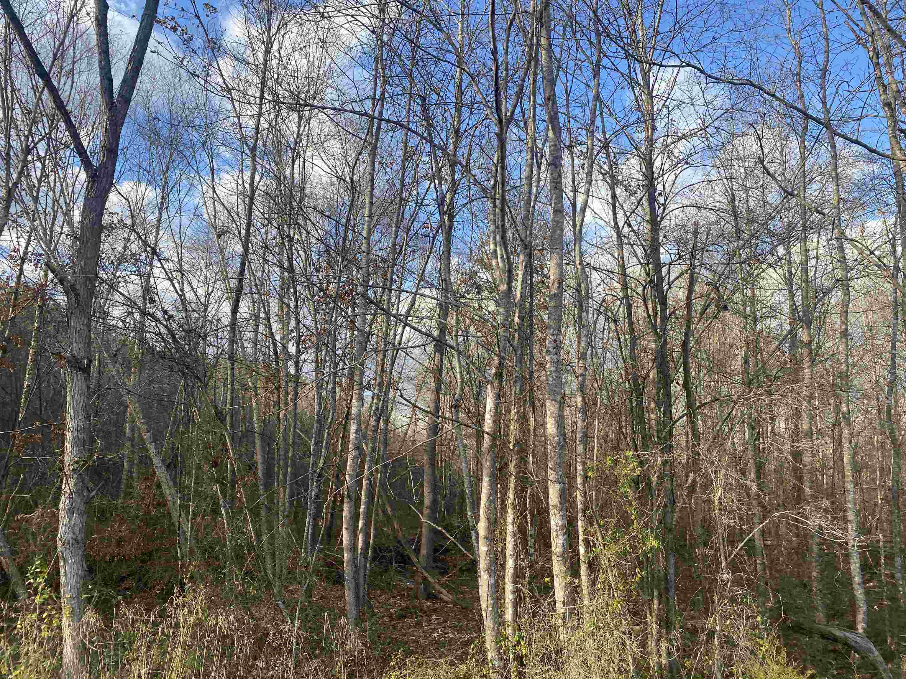 5 Hughey Talley Road Pocahontas, TN 38061 - Photo 8 of 9