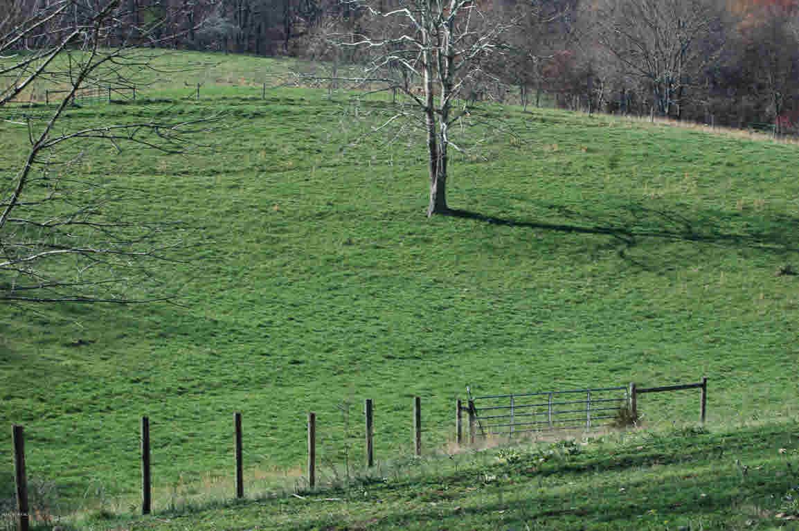 Lot J Springdale Road Pearisburg, VA 24134 - Photo 35 of 51 Gallery Image 35