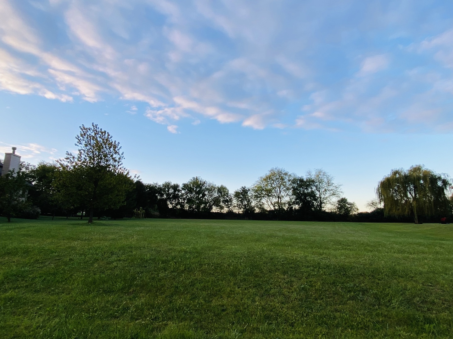 a view of yard with grass and a fountain